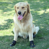 Maxbell Maxbell 4-Pack Pet Dog Waterproof Rain Shoes Snow Boots with Rugged Sole S Black