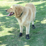 Maxbell Maxbell 4-Pack Pet Dog Waterproof Rain Shoes Snow Boots with Rugged Sole M Black