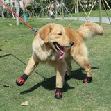 Maxbell Maxbell 4-Pack Pet Dog Waterproof Rain Shoes Snow Boots with Rugged Sole S Red