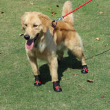 Maxbell Maxbell 4-Pack Pet Dog Waterproof Rain Shoes Snow Boots with Rugged Sole M Red