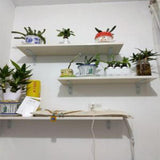 Maxbell Pair Heavy Duty Wall Shelf Bracket Shelves Support Shelf Holder Supporter S - Aladdin Shoppers