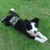 Maxbell Maxbell Male Pet Dog Pants Bitch Season Menstrual Sanitary Nappy Diaper Camouflage S