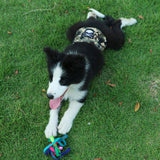 Maxbell Maxbell Male Pet Dog Pants Bitch Season Menstrual Sanitary Nappy Diaper Camouflage L