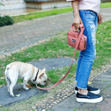 Maxbell Maxbell Pet Leash Bag Dog Puppy Walking Leash + Functional Carrier Bag Poop Bag Red