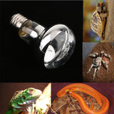 Maxbell Maxbell Infrared Reptile UVA Lamp Heating Light Lamp Bulb for Lizard Snake E27 220V 25W