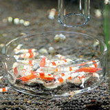 Maxbell Aquarium Fish Tank Shrimp Feeding Food Dish Tray Feeder Tube With 30cm Tube