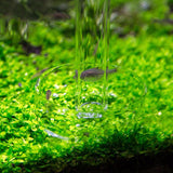 Maxbell 2 PCS Aquarium Glass Shrimp Feeding Tube Food Dish Pipe Holder 400,300mm