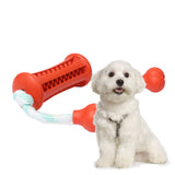 Maxbell Maxbell Pet Dog Cat Chewing Toy Interactive Training Stick Feeding Food Toy 003 - L