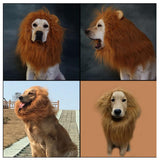 Maxbell Maxbell Pet Costume Cute Cosplay Wig for Cats Dog Festival Fancy Dress Up for Dog #1