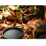 Maxbell 2 pcs Plastic Reptile lizard Gecko Vivarium Feeding Food Dish Feeder Bowl