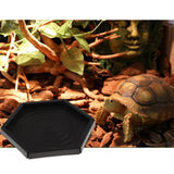 Maxbell 2 pcs Plastic Reptile lizard Gecko Vivarium Feeding Food Dish Feeder Bowl