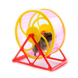 Maxbell Maxbell Hamster Mouse Exercise Toy Jogging Toy Small Animals Running Wheel Pink