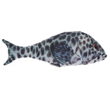 Maxbell Maxbell Lifelike Fish Pet Cat Mint Play Velvet Catnip Interactive Toy Brown