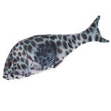 Maxbell Maxbell Lifelike Fish Pet Cat Mint Play Velvet Catnip Interactive Toy Brown