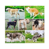 Maxbell Maxbell Dog Waste Bag Holder Dog Tail Poo Pack Clip Garbage Clean Up with Bags Blue