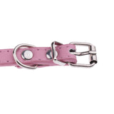 Maxbell New Pet Puppy Dog Cat Bowtie Bow Tie Adjustable Dog Collar Pet Supplies 6#M