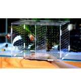 Maxbell Aquarium Young Fish Breeding Hatchery Incubator Isolation Box Suction cup
