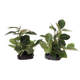 Maxbell Maxbell Underwater Aquarium Fish Tank Landscape Decorative Simulation Plant #5