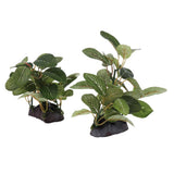 Maxbell Maxbell Underwater Aquarium Fish Tank Landscape Decorative Simulation Plant #5