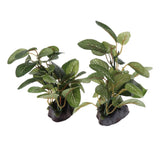 Maxbell Maxbell Underwater Aquarium Fish Tank Landscape Decorative Simulation Plant #5