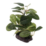 Maxbell Maxbell Underwater Aquarium Fish Tank Landscape Decorative Simulation Plant #5