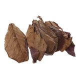 Maxbell PACK 30 Indian Almond Leaves Beneficial Leaf for Shrimps Betta Tropical Fish
