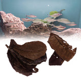Maxbell PACK 30 Indian Almond Leaves Beneficial Leaf for Shrimps Betta Tropical Fish