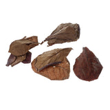 Maxbell PACK 30 Indian Almond Leaves Beneficial Leaf for Shrimps Betta Tropical Fish