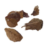 Maxbell PACK 20 Indian Almond Leaves Beneficial Leaf for Shrimps Betta Tropical Fish