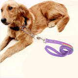 Maxbell Maxbell Colorful Weave Pet Dog Leash Leads Walking Traction Rope Cord Purple S