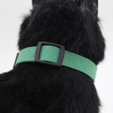 Maxbell Maxbell Custom Personalized Dog Pet Collar Night Reflective Dog Collar Green