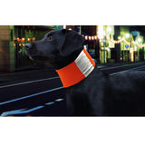 Maxbell Pet Dog Cat Reflective Collar Puppy Pet Dog Safety Neck Strap Orange L