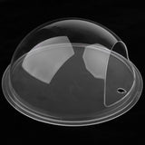 Maxbell Maxbell Home Pot Wall Hanging Mount Bubble Aquarium Bowl Fish Tank Decoration Clear