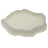 Maxbell Maxbell Reptile Tortoise Gecko Feeding Bowl Food Water Resin Dish Bowl Noctilucent S