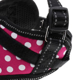 Maxbell Maxbell Adjustable Harness Walking Lead Leash Chest Strap for Pet Cat #1 Rose Red
