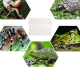 Maxbell Maxbell Acrylic Clear Pet Reptiles Box Breeding Tanks Container #1 20.5x12.5x12.5cm