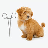 Maxbell Maxbell Dog Ear Cleaning Pliers Hair Clamp Tweezers Pet Hemostat Forceps Curved