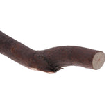 Bird Parrot Parakeet Budgie Toy Wood Swing with Bell Cage Hanging Perch