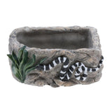 Maxbell Maxbell Reptile Food Dish Feeding Bowl Water Worm Feeder Snakes Medium BL-7002