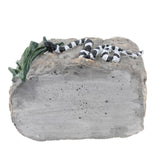 Maxbell Maxbell Reptile Food Dish Feeding Bowl Water Worm Feeder Snakes Medium BL-7002