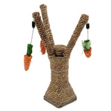 Maxbell Maxbell Pet Sisal Rope Scratcher Climbing Tree Cat Rat Play Toy with Carrots 1