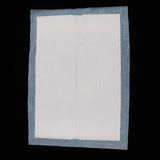 Maxbell Maxbell Dog Pee Pads Potty Puppy Training Indoor Outdoor Potty Toilet Pet Mat Tray S-100