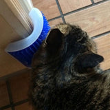 Maxbell Maxbell Pet Cat Wall Corner Grooming Massage Self Groomer Brush Cat Hair Clean Grey