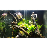 Maxbell Maxbell 20Pcs Wood Moss Fixation Stick Aquarium Fish Tank Terrarium Landscaping