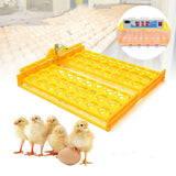 Maxbell 3 pcs 56 digital Automatic Egg Turner Tray Chicken Duck Egg Incubator Turner