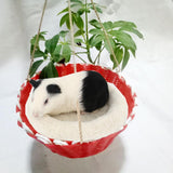 Maxbell Maxbell Hamster Bed Round Warm Sleep Mat Pad For Guinea Pig Squirrel Small Animals