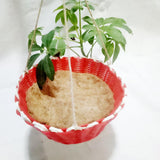 Maxbell Pet Small Animal Hamster Ferret Rabbit Hammock Cage Hanging Basket Nest