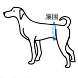 Maxbell Maxbell Reusable Dog Underwear Diaper Adjustable Sanitary Panties for Female S Pink