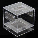 Small Reptile Lizard Spider Scorpion Insect Vivarium Feeding Rearing Box 10x10x10.5cm Clear