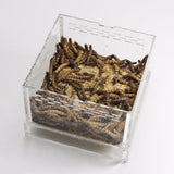 Maxbell Durable Acrylic Clear Pet Reptiles Worm Box Breeding Tanks Container